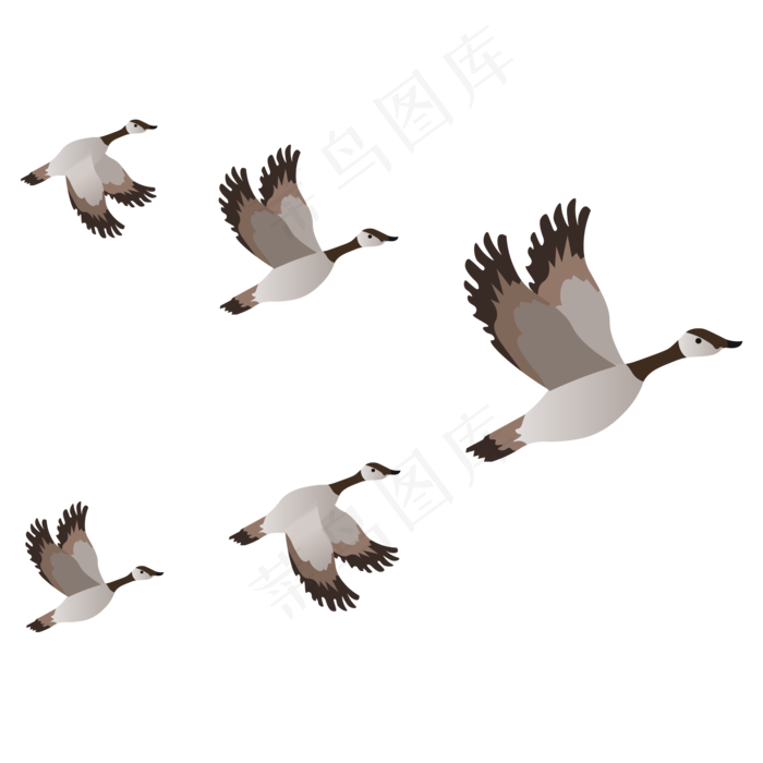 一群大雁(2000*2000px 300 dpi )ai矢量模版下载