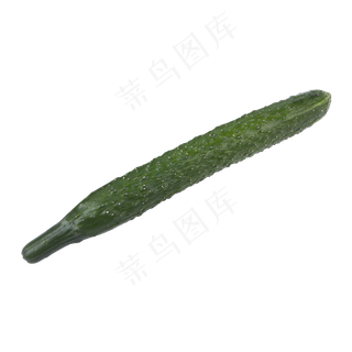 黄瓜（png免抠）