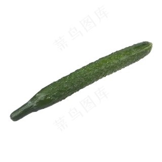 黄瓜（png免抠）