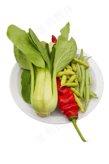 蔬菜油菜豆角 蔬菜油菜豆角
