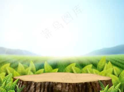 自然茶园背景与叶子和切割树干在 3d