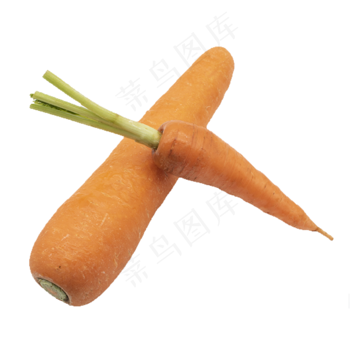 两根胡萝卜蔬菜(2000*2000px 300 dpi )