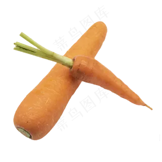 两根胡萝卜蔬菜