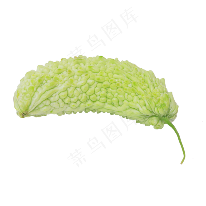 新鲜的苦瓜(2000*2000px 300 dpi )