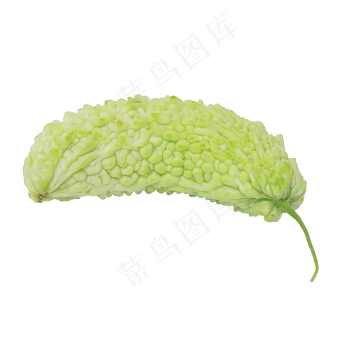 新鲜的苦瓜(2000*2000px 300 dpi )