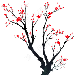 手绘植物梅花盛开