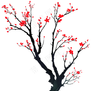 手绘植物梅花盛开