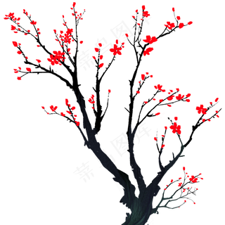 手绘植物梅花盛开