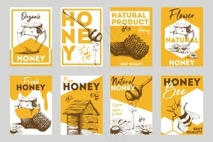 蜂巢和蜜蜂平面宣传单,DM传单套装