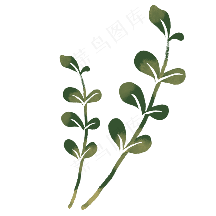带茎植物卡通(2000X2000(DPI:300))psd模版下载