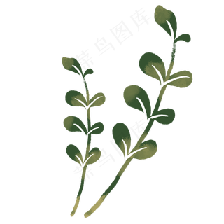 带茎植物卡通