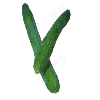 绿色黄瓜