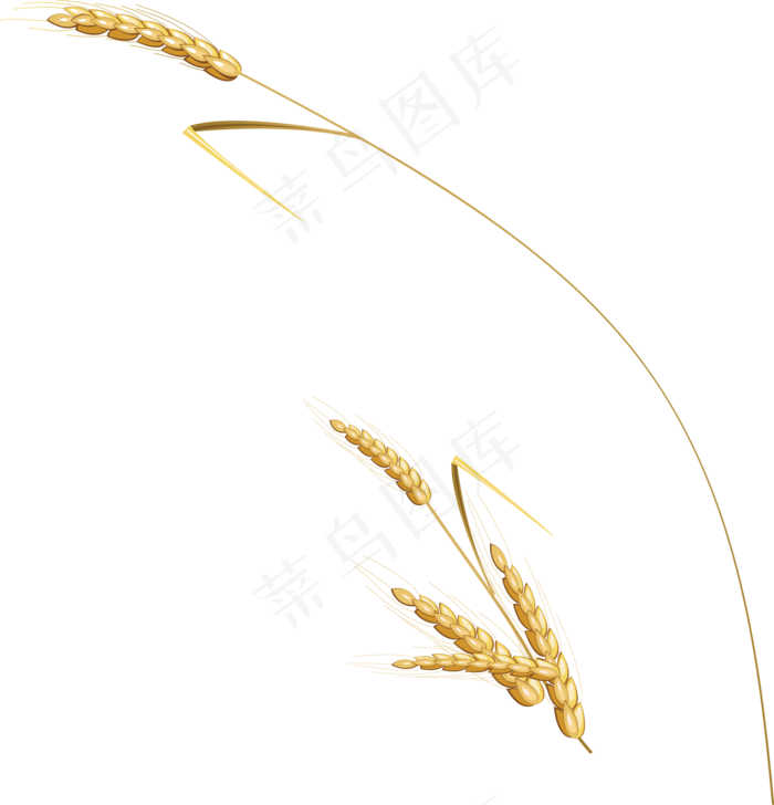小麦金黄色素材下载