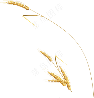 小麦金黄色素材下载