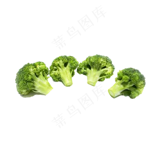 四个剥落的西兰花枝丫