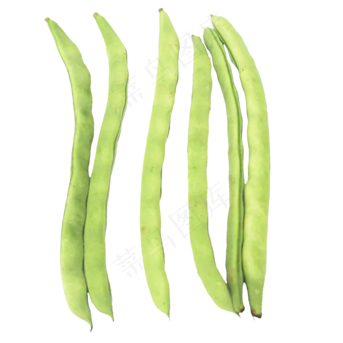 食材豆角(1024X1024(DPI:299))