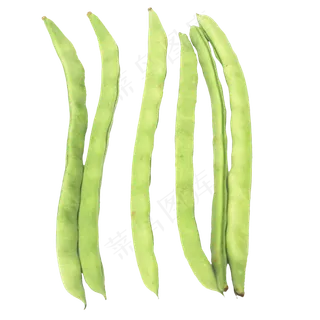 食材豆角