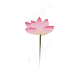 中秋荷花手绘png图片