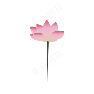 中秋荷花手绘png图片