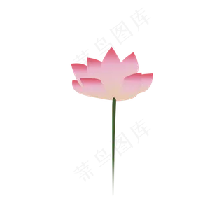 中秋荷花手绘png图片