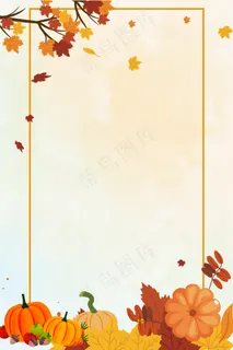 简约风有机新鲜南瓜