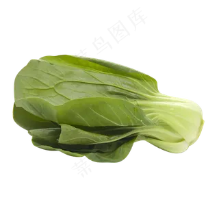 一棵青菜 一棵青菜
