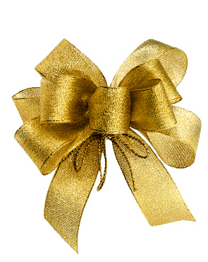 礼盒 彩带 飘带图片 蝴蝶结 礼结