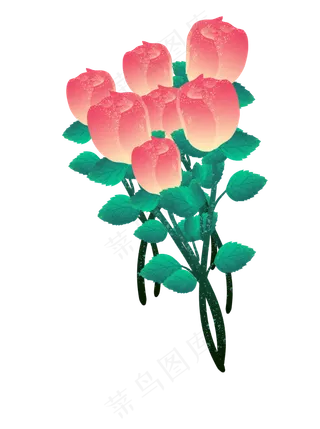 七夕玫瑰花情人节礼物植物