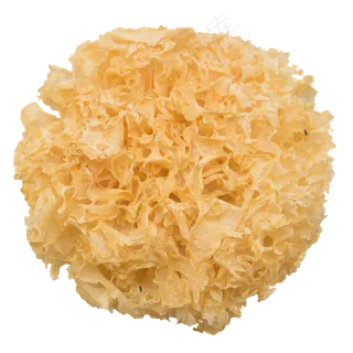 黄色滋补银耳,免抠元素