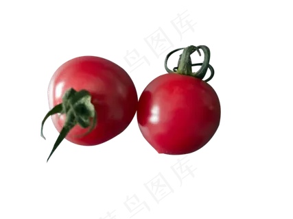 新鲜西红柿 新鲜西红柿