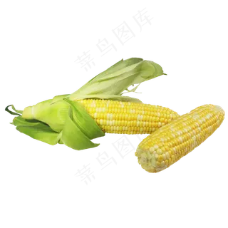 玉米苞蔬菜