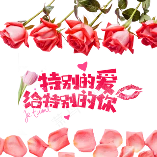 七夕芬芳鲜艳的玫瑰