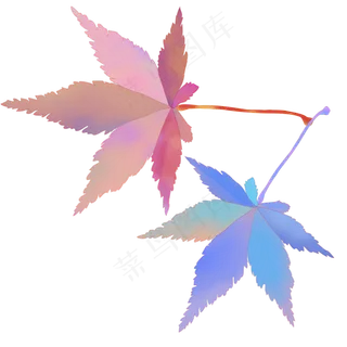 立秋冷暖两色枫叶卡通手绘装饰图