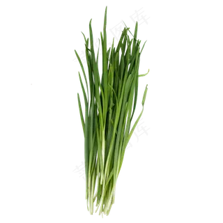 绿色韭菜