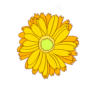手绘矢量卡通重阳节菊花