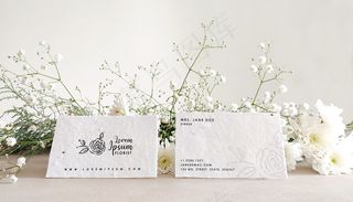 花卉名片模型样机