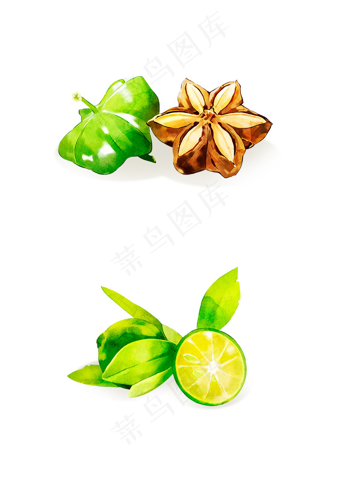 手绘 八角 柠檬 蔬菜