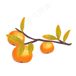 寒露枇杷传统节日