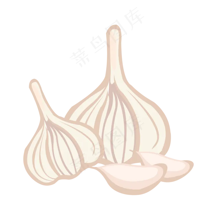 蔬菜白大蒜(2000*2000px 300 dpi )ai矢量模版下载