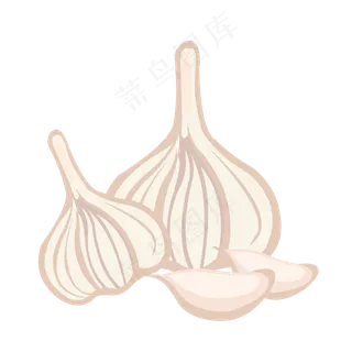 蔬菜白大蒜