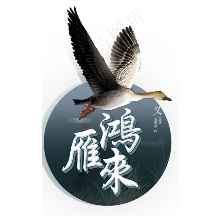 菜鸟图库原创鸿雁来艺术字(2000X2000(DPI:150))psd模版下载