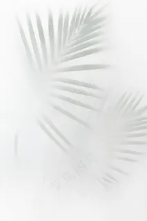 在灰白色的被弄脏的绿色棕榈叶