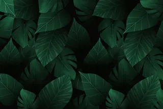 逼真的深色热带树叶背景