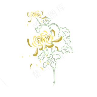 黄色菊花2朵清新元素