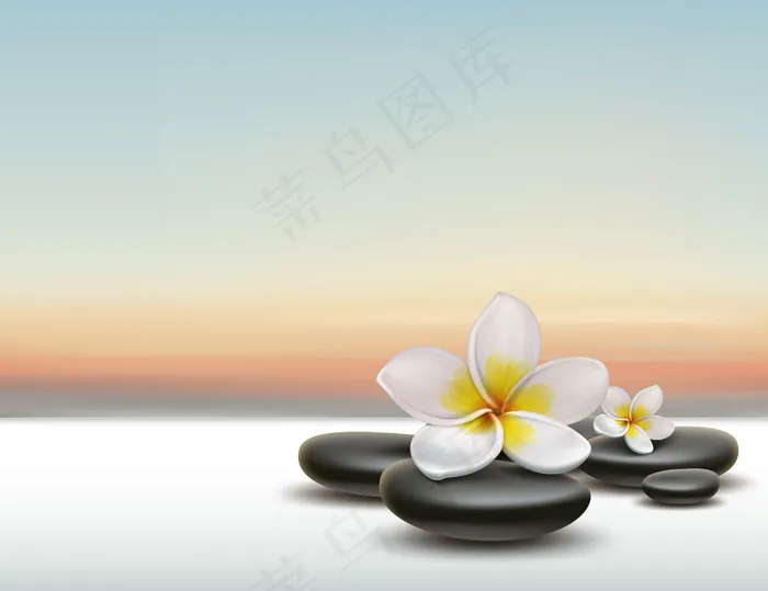 矢量白色鸡蛋花与黑色禅温泉石日落背景eps,ai矢量模版下载