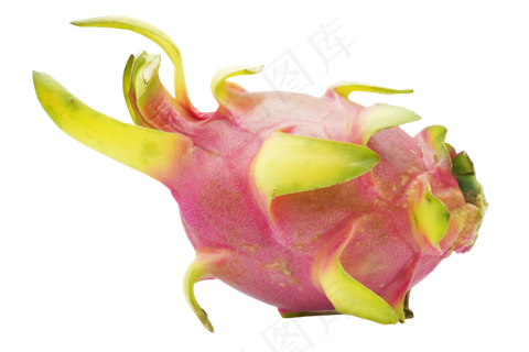 粉色新鲜火龙果