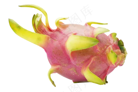 粉色新鲜火龙果