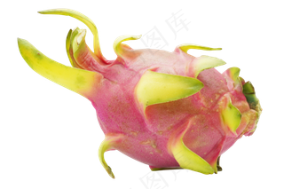 粉色新鲜火龙果