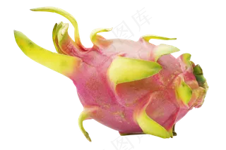 粉色新鲜火龙果