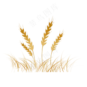 立秋黄色小麦丰收季节扁平画风